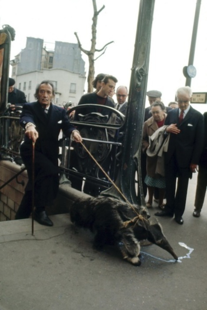 Salvador Dali Walking