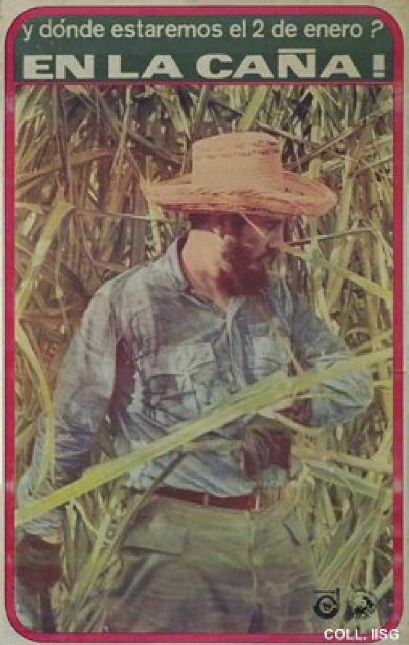 Poster 963