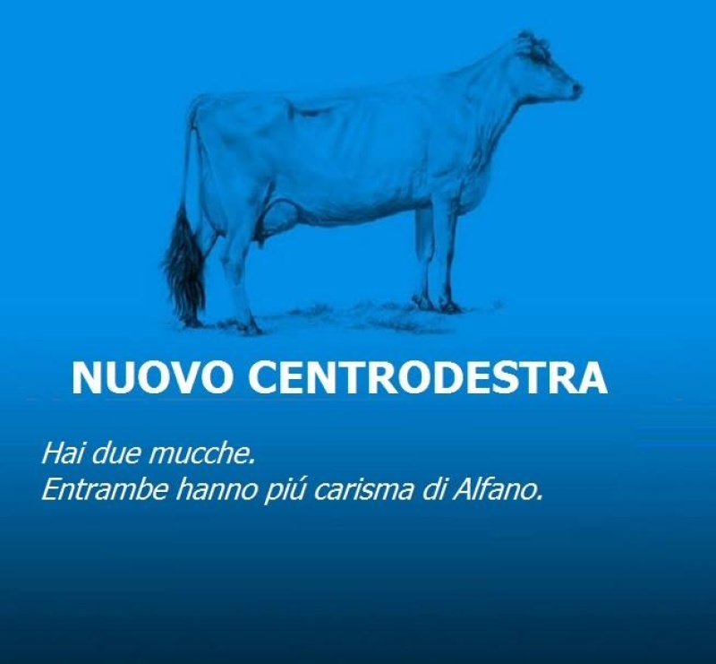 5 Nuovo Centrodestra