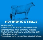 2-movimento-cinque-stelle.jpg