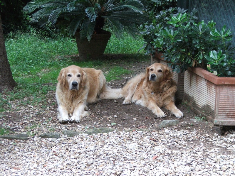 Molly And Ulisse