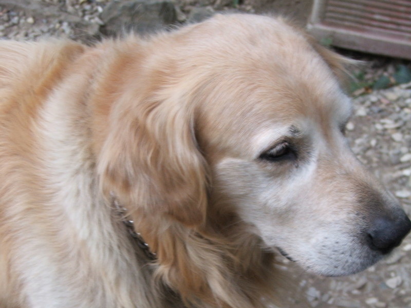 Ulisse