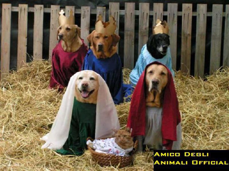Natale