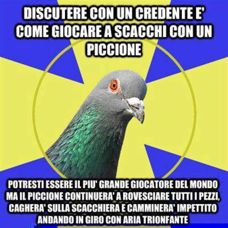 Piccione