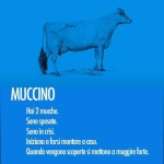 muccino.jpg