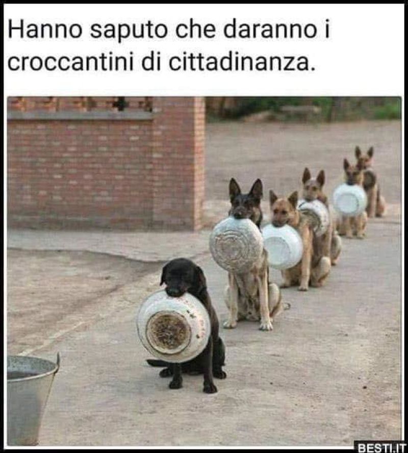 Croccantini