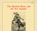 spiritedhorse.jpg