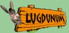 Lugdunum