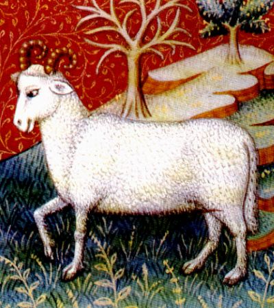 Affabilita